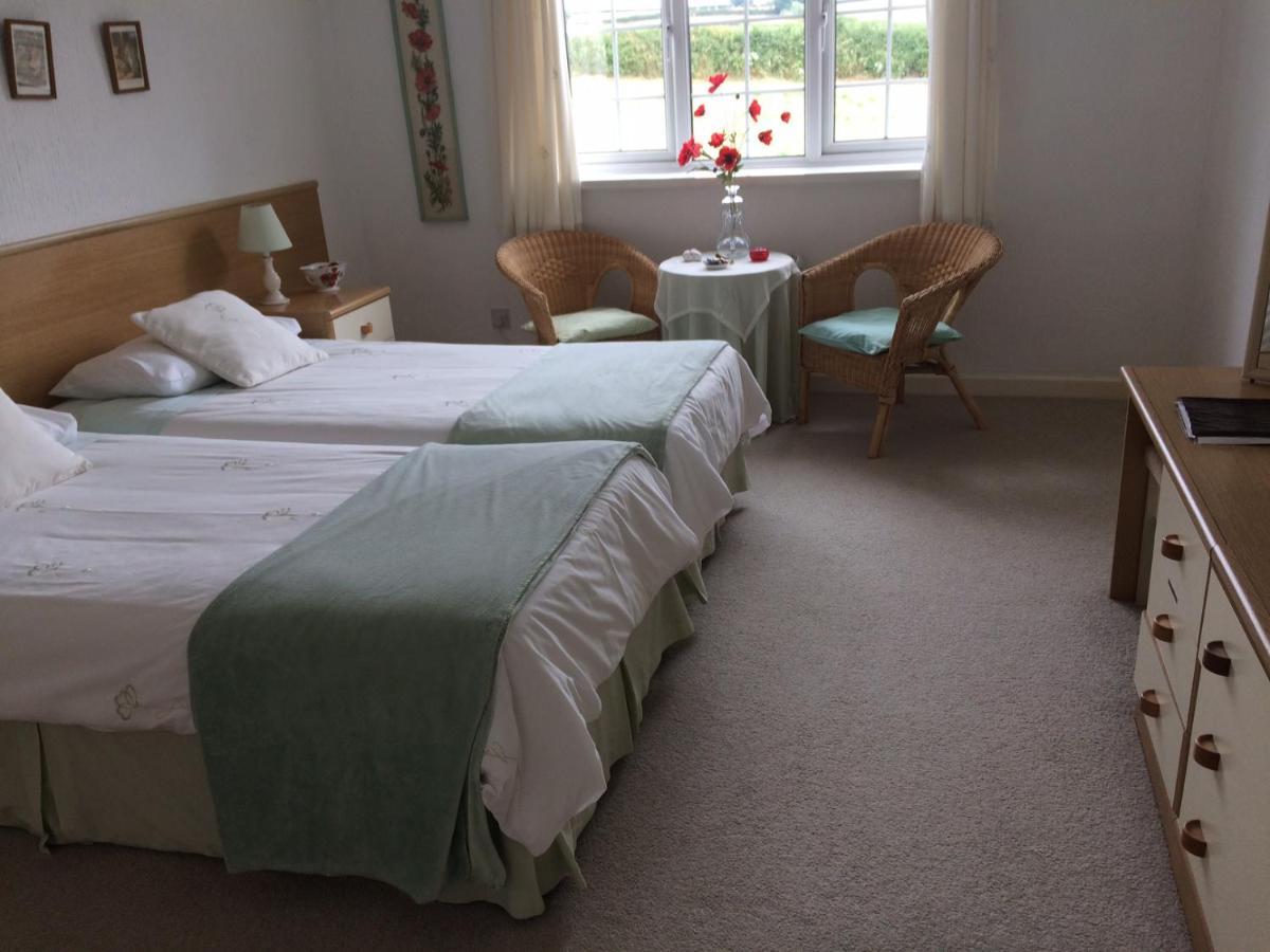 The Grange Accommodation, Waye Farm, Ermington, Devon Holbeton Eksteriør bilde