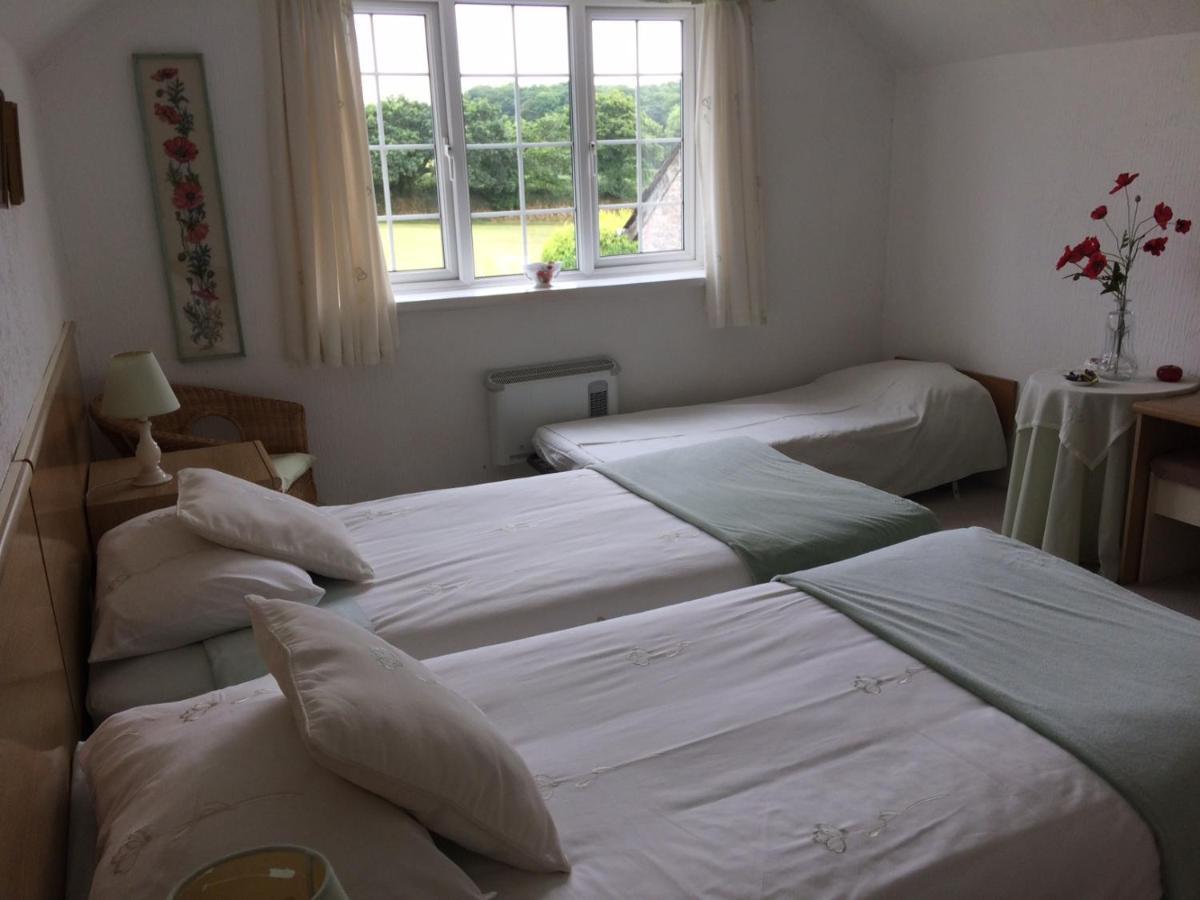 The Grange Accommodation, Waye Farm, Ermington, Devon Holbeton Eksteriør bilde